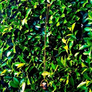 NWOT Madewell Gold Geo Spin Stone Pendant Necklace